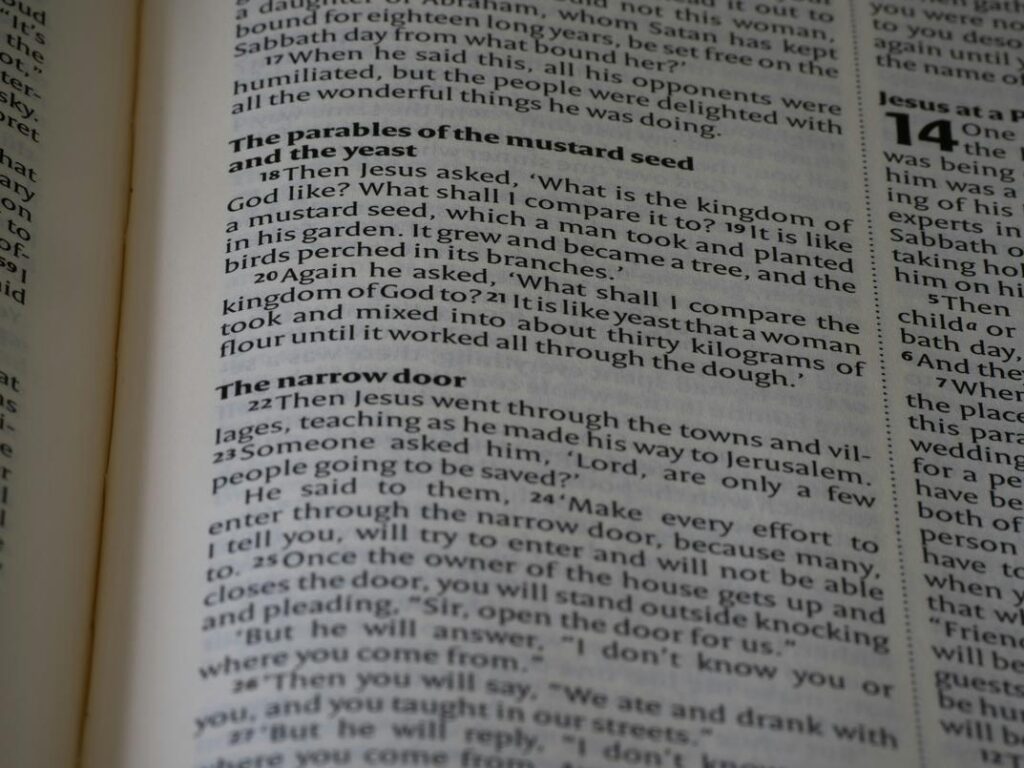 entertainment guide cwbiancaparenting