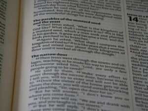 entertainment guide cwbiancaparenting