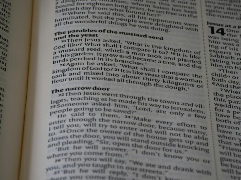 entertainment guide cwbiancaparenting