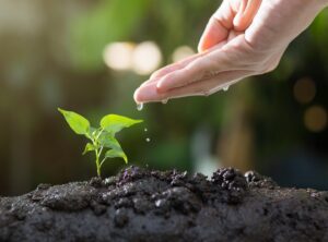 Nurturing Advice Nitkaparenting