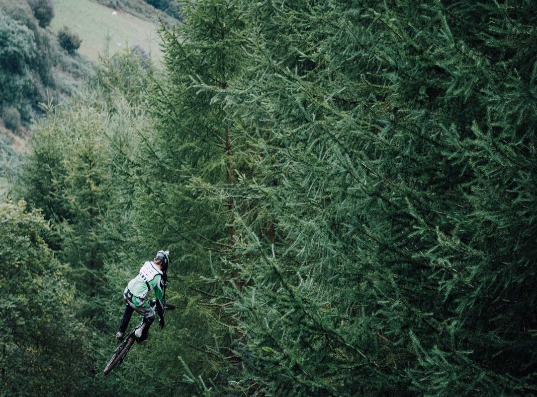 Training Your Cobra-Rateira Puppy: Step-by-Step Guide