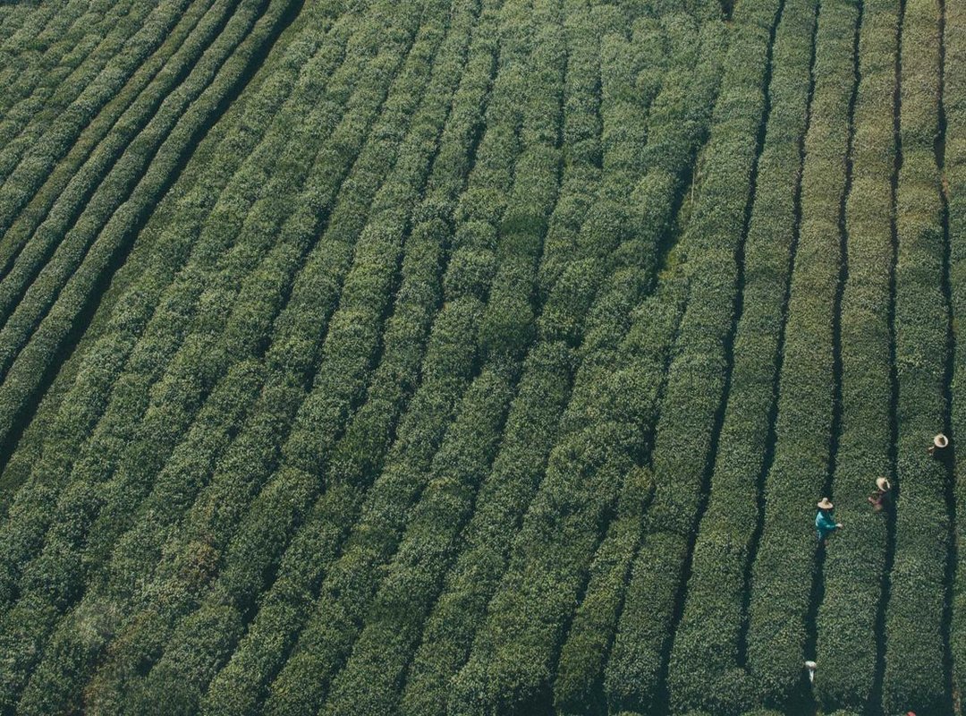 How to Make Your Screen Spin: The Google Easter Egg Guide