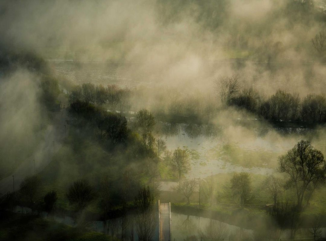 The Core Families: Key Supporting Actors in the 'Reparto'