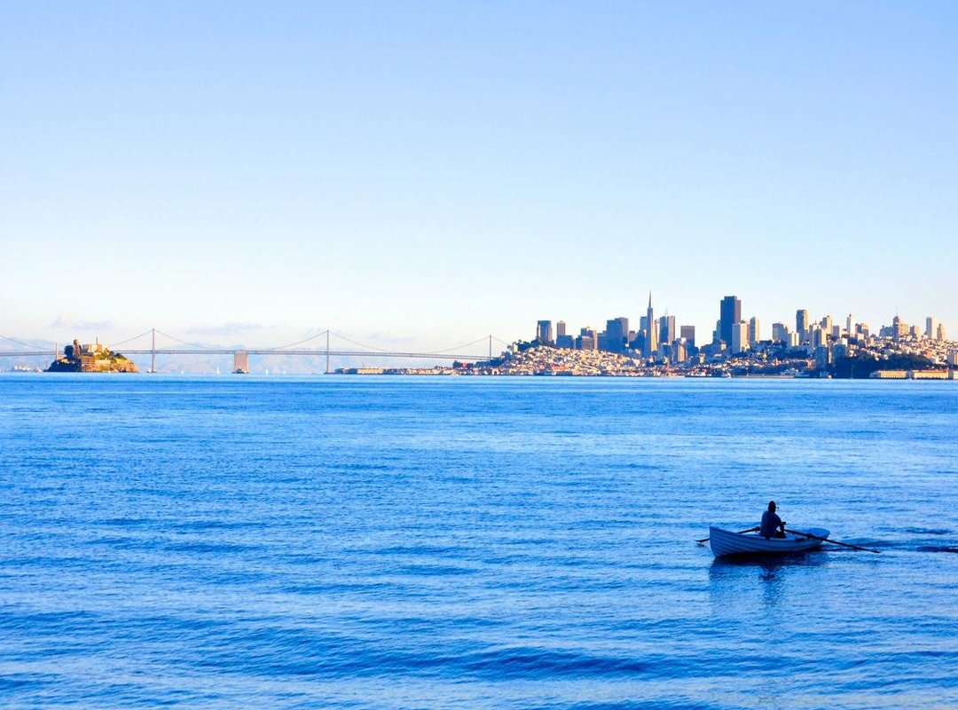 The Fallout: What Happens After an Influencer Goes Wild?