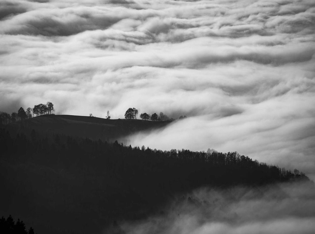 Beyond the Screen: Bertero's Impact and Influence