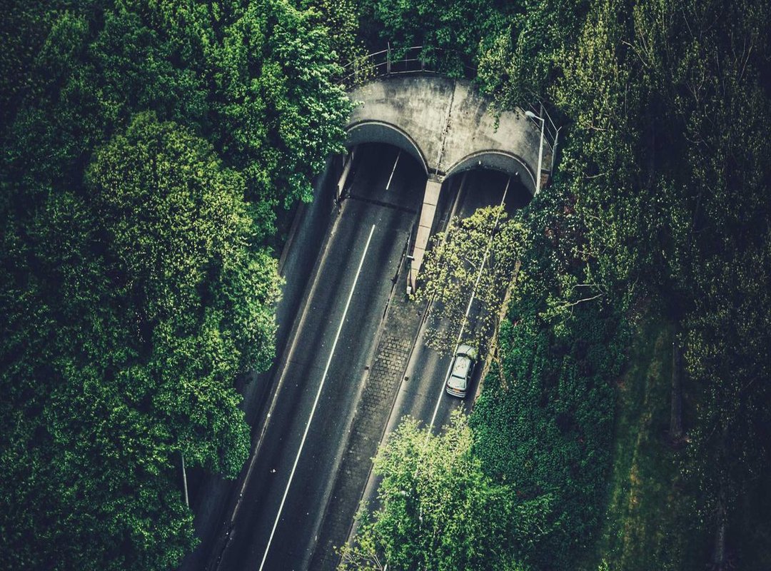 Beauty Standards vs. Reality: How Perceptions are Changing