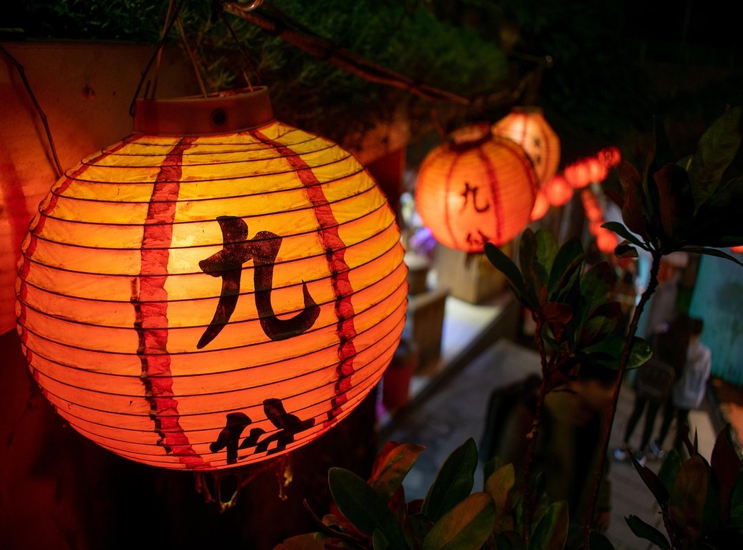 Benefits of Oli Fens