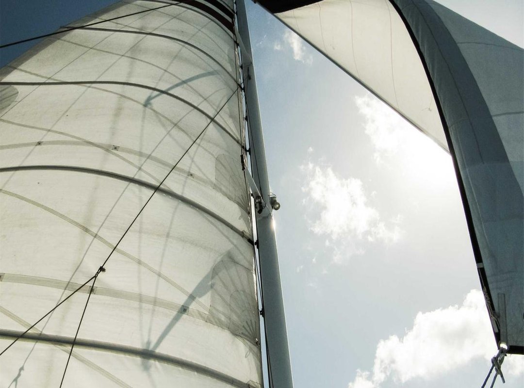 How It Stacks Up: Oppo A17 vs. Key Competitors