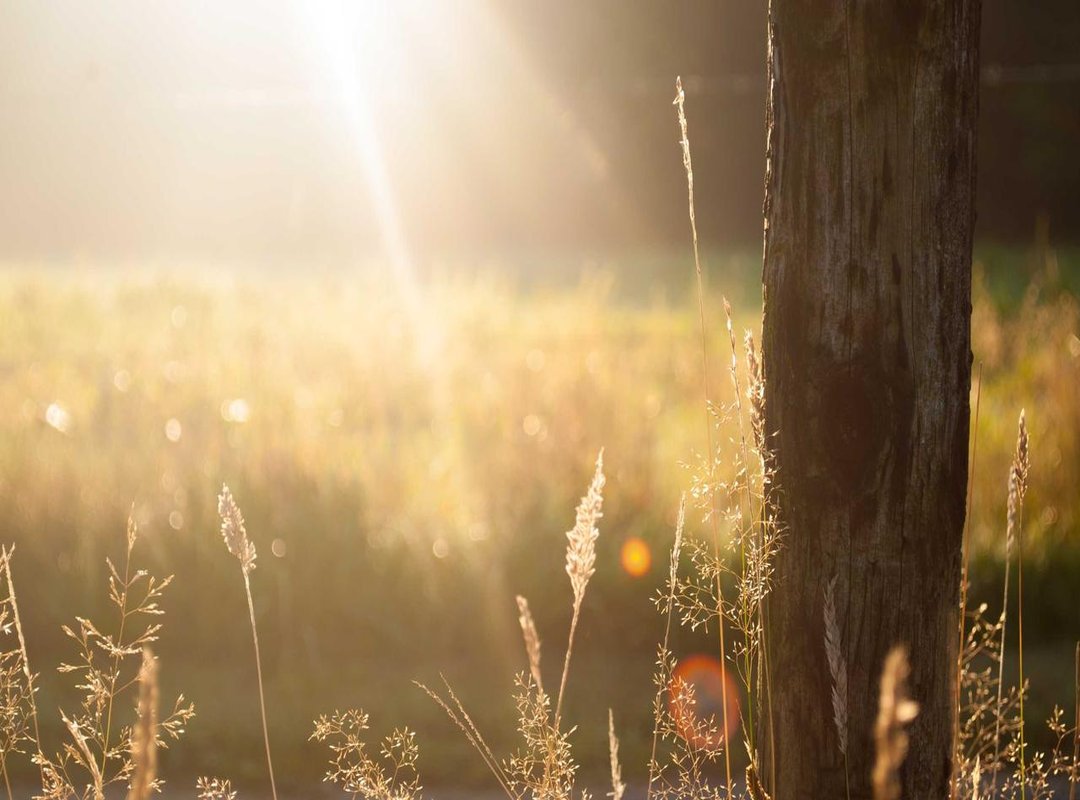 Top Picks: Comparing PojokManga APK with Other Manga Apps