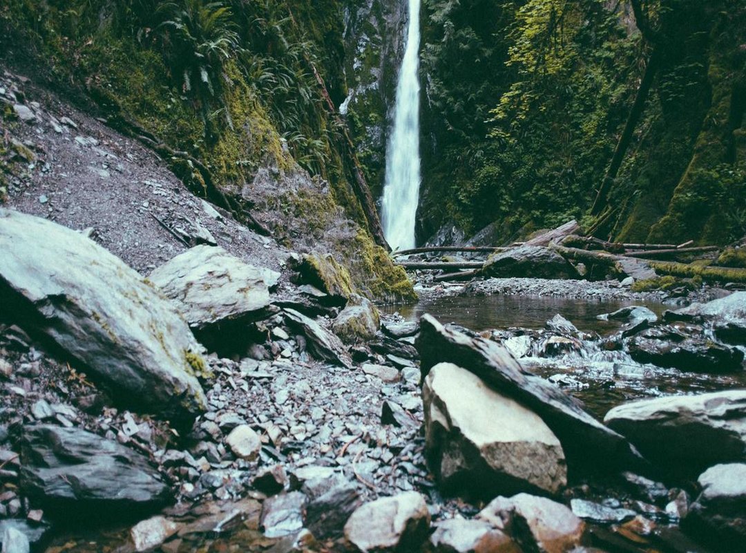 Best Value Pick: Essential Protection That Won't Break the Bank