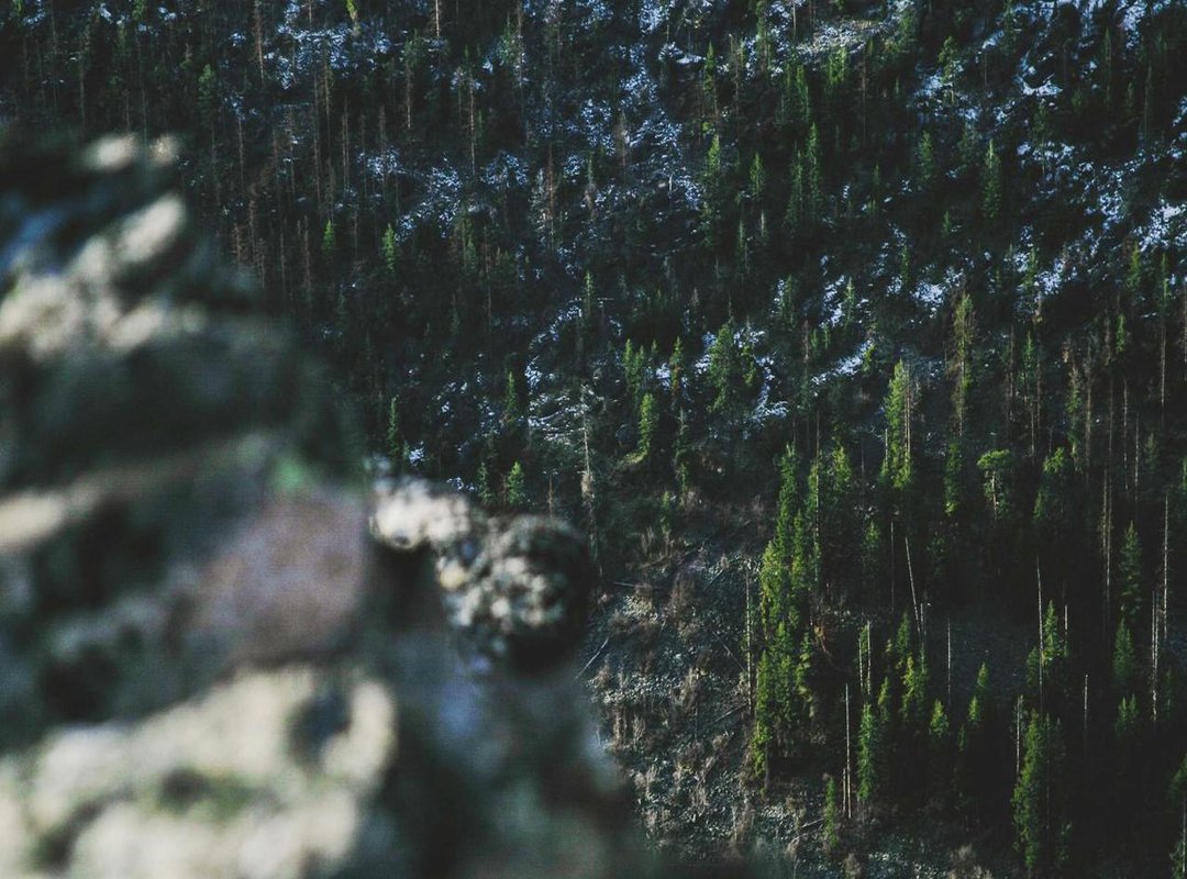 Finding the Best & Safest Skibidi Toilet Coloring Pages