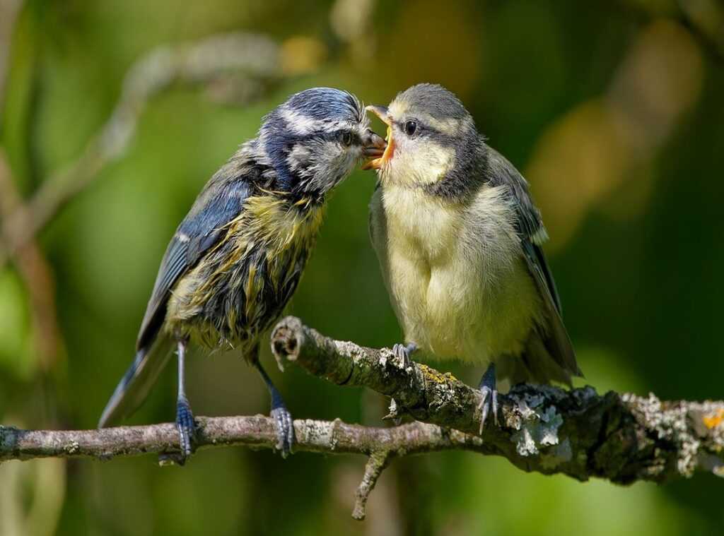small wins motherhood