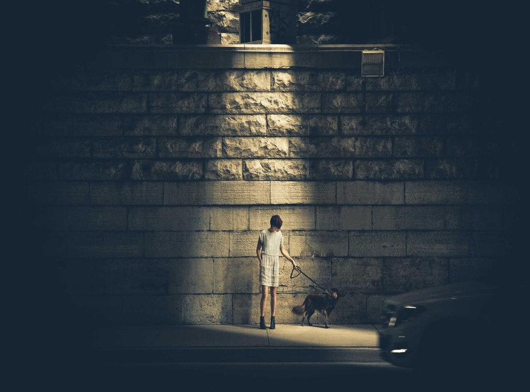 Comparing Your Options: Traumeel vs. Common Pharmacy Alternatives