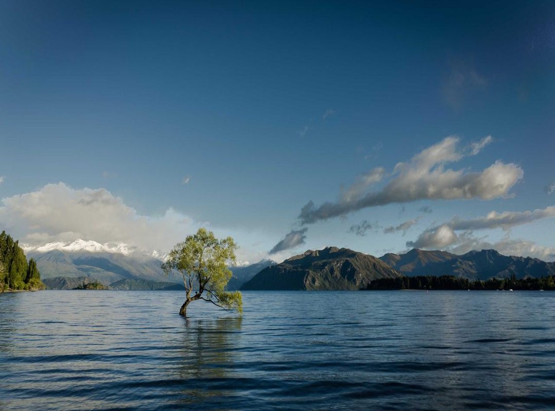 Frequently Asked Questions (FAQs)